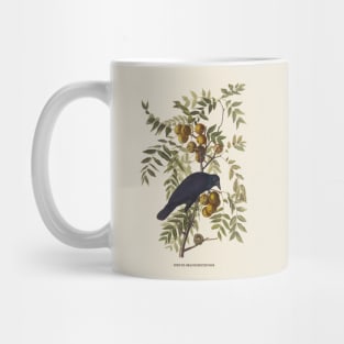 American Crow Antique Naturalist Illustration Mug